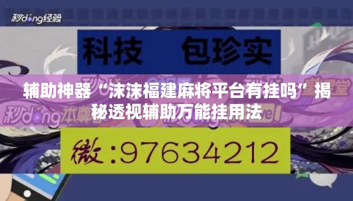 辅助神器“沫沫福建麻将平台有挂吗”揭秘透视辅助万能挂用法