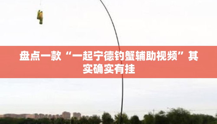 盘点一款“一起宁德钓蟹辅助视频	”其实确实有挂