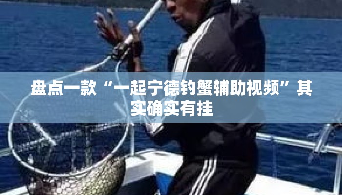 盘点一款“一起宁德钓蟹辅助视频	”其实确实有挂