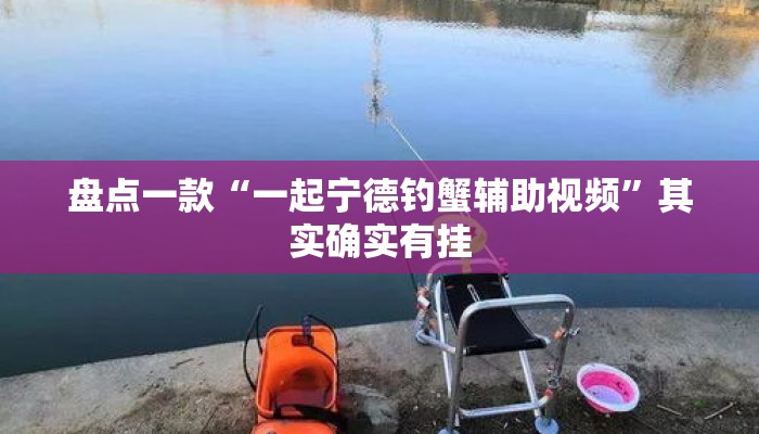 盘点一款“一起宁德钓蟹辅助视频”其实确实有挂