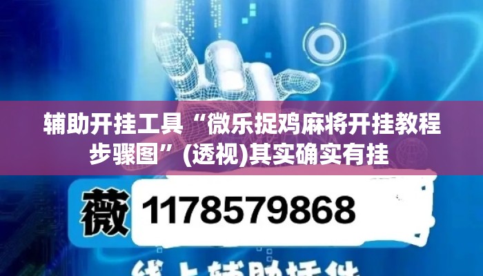 辅助开挂工具“微乐捉鸡麻将开挂教程步骤图	”(透视)其实确实有挂 