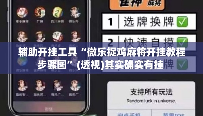 辅助开挂工具“微乐捉鸡麻将开挂教程步骤图”(透视)其实确实有挂 