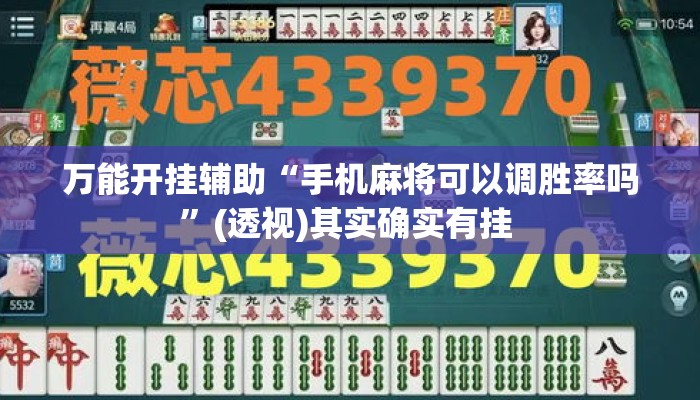 万能开挂辅助“手机麻将可以调胜率吗	”(透视)其实确实有挂 