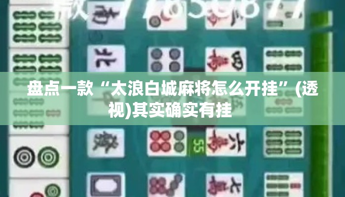 盘点一款“太浪白城麻将怎么开挂	”(透视)其实确实有挂 