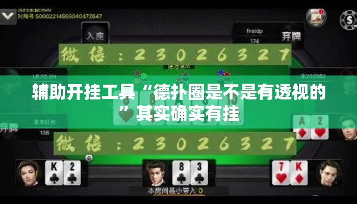 辅助开挂工具“德扑圈是不是有透视的”其实确实有挂