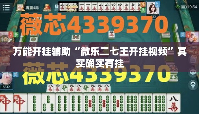 万能开挂辅助“微乐二七王开挂视频”其实确实有挂