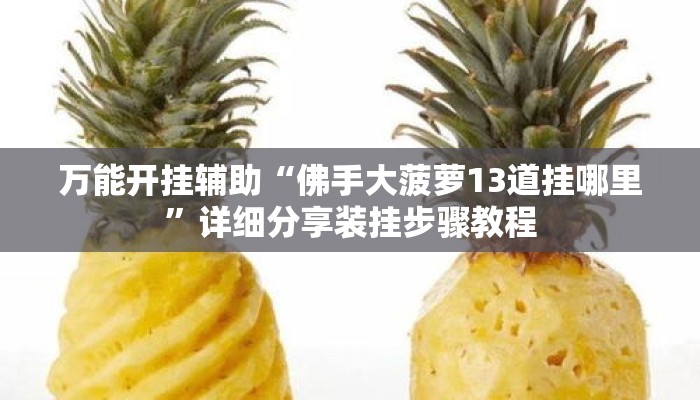 万能开挂辅助“佛手大菠萝13道挂哪里	”详细分享装挂步骤教程