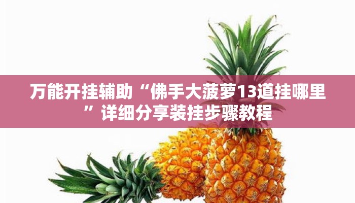 万能开挂辅助“佛手大菠萝13道挂哪里”详细分享装挂步骤教程