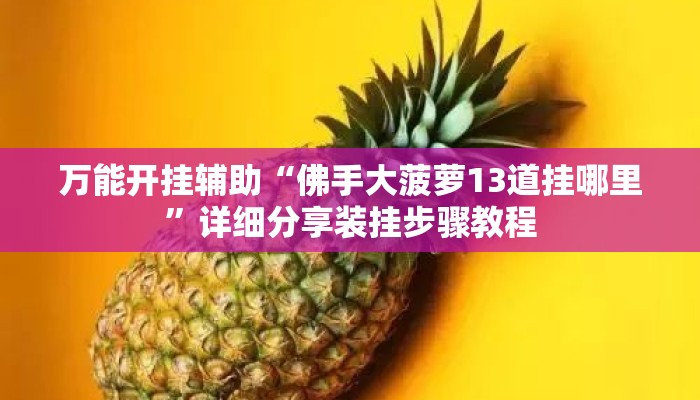 万能开挂辅助“佛手大菠萝13道挂哪里	”详细分享装挂步骤教程