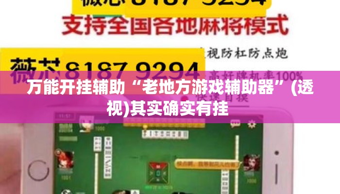 万能开挂辅助“老地方游戏辅助器”(透视)其实确实有挂 
