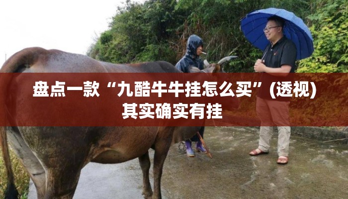 盘点一款“九酷牛牛挂怎么买”(透视)其实确实有挂 