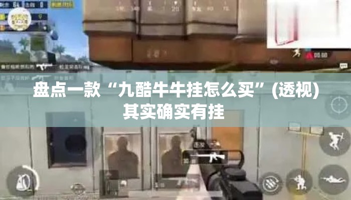 盘点一款“九酷牛牛挂怎么买”(透视)其实确实有挂 