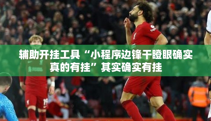 辅助开挂工具“小程序边锋干瞪眼确实真的有挂”其实确实有挂