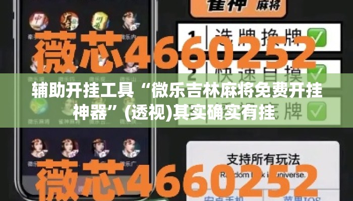 辅助开挂工具“微乐吉林麻将免费开挂神器	”(透视)其实确实有挂 