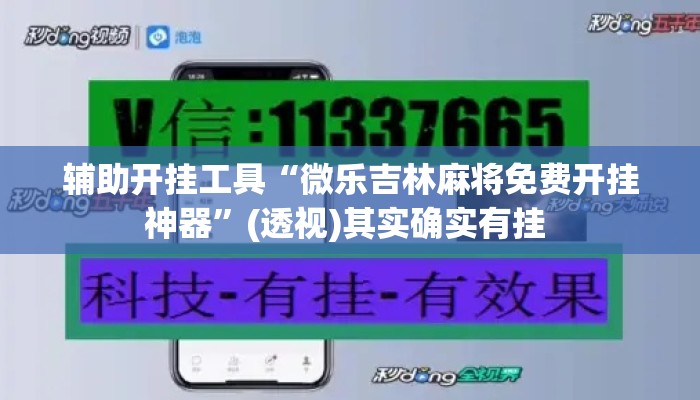 辅助开挂工具“微乐吉林麻将免费开挂神器”(透视)其实确实有挂 