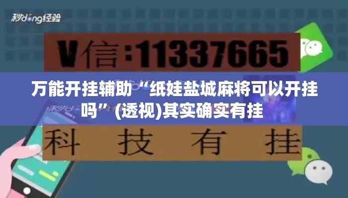 万能开挂辅助“纸娃盐城麻将可以开挂吗”(透视)其实确实有挂 