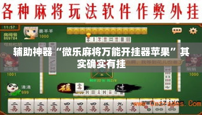 辅助神器“微乐麻将万能开挂器苹果”其实确实有挂