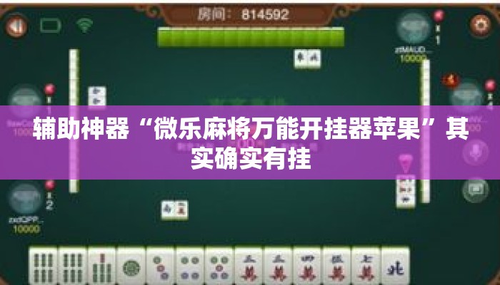 辅助神器“微乐麻将万能开挂器苹果	”其实确实有挂