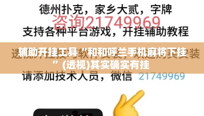 辅助开挂工具“和和呼兰手机麻将下挂	”(透视)其实确实有挂 