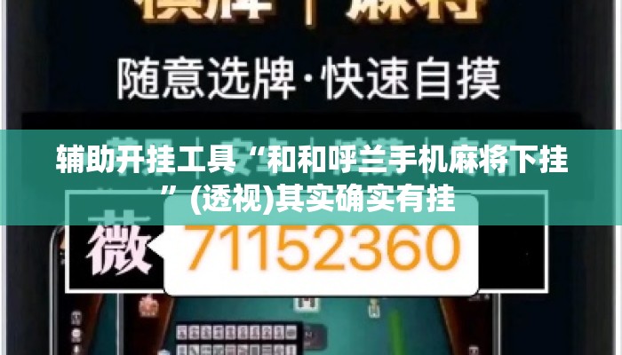 辅助开挂工具“和和呼兰手机麻将下挂”(透视)其实确实有挂 