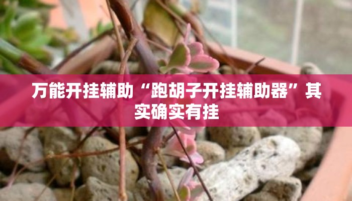 万能开挂辅助“跑胡子开挂辅助器”其实确实有挂