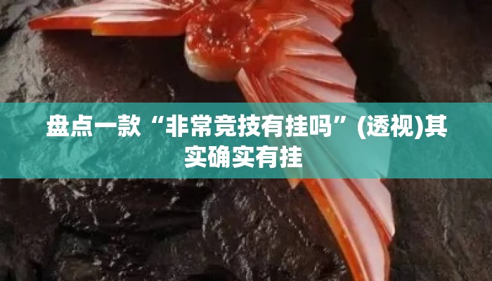 盘点一款“非常竞技有挂吗”(透视)其实确实有挂 