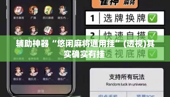辅助神器“悠闲麻将通用挂”(透视)其实确实有挂 