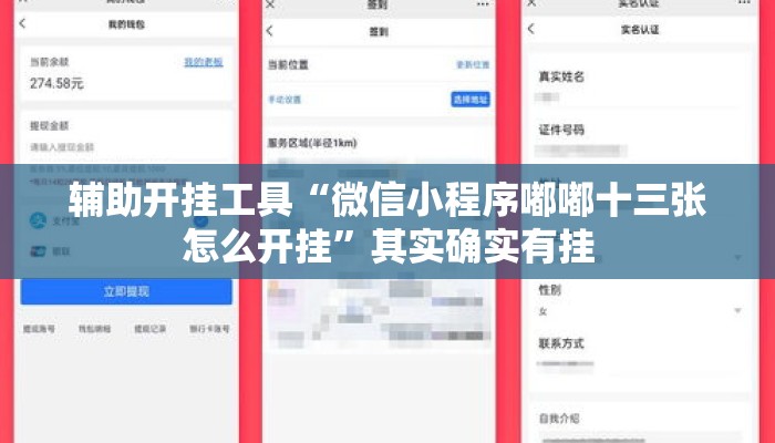 辅助开挂工具“微信小程序嘟嘟十三张怎么开挂”其实确实有挂