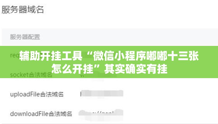 辅助开挂工具“微信小程序嘟嘟十三张怎么开挂”其实确实有挂