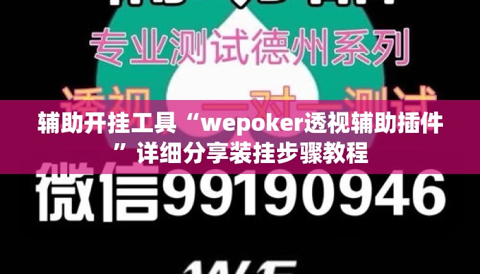 辅助开挂工具“wepoker透视辅助插件	”详细分享装挂步骤教程