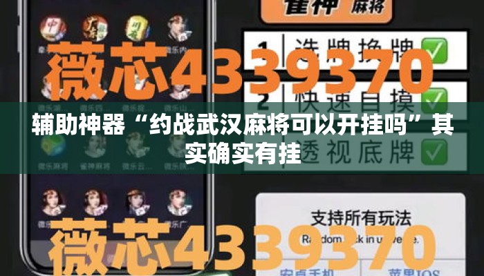 辅助神器“约战武汉麻将可以开挂吗”其实确实有挂