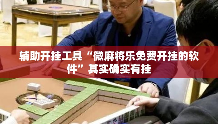 辅助开挂工具“微麻将乐免费开挂的软件”其实确实有挂
