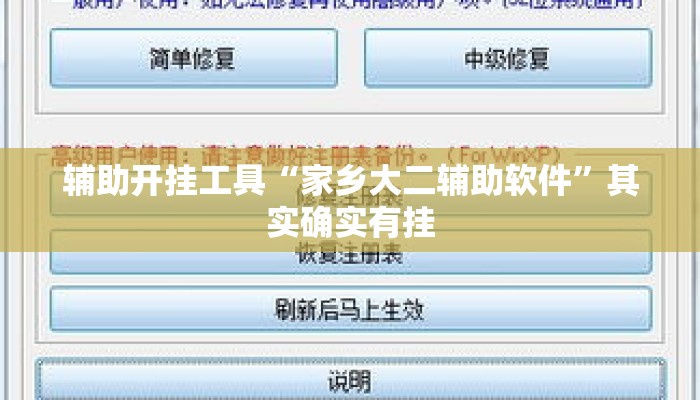 辅助开挂工具“家乡大二辅助软件”其实确实有挂