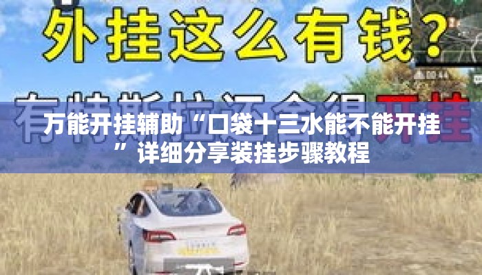万能开挂辅助“口袋十三水能不能开挂”详细分享装挂步骤教程