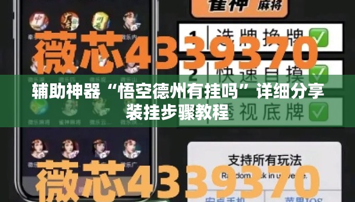 辅助神器“悟空德州有挂吗”详细分享装挂步骤教程