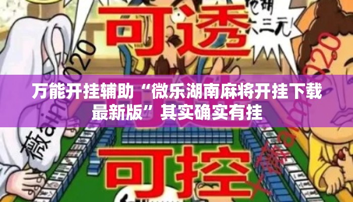 万能开挂辅助“微乐湖南麻将开挂下载最新版	”其实确实有挂