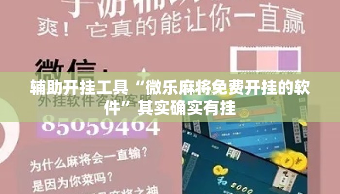 辅助开挂工具“微乐麻将免费开挂的软件”其实确实有挂