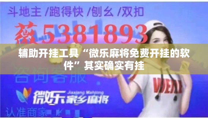 辅助开挂工具“微乐麻将免费开挂的软件	”其实确实有挂