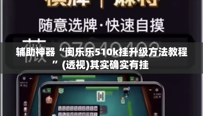 辅助神器“闽乐乐510k挂升级方法教程”(透视)其实确实有挂 