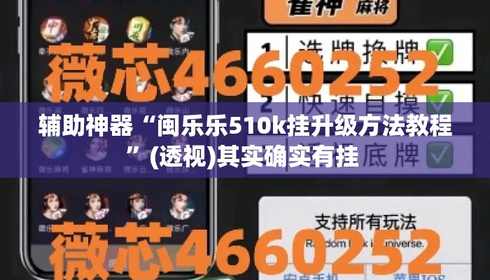 辅助神器“闽乐乐510k挂升级方法教程	”(透视)其实确实有挂 