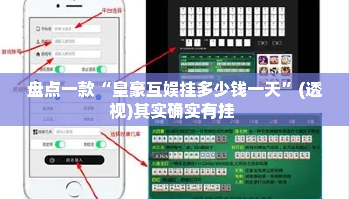 盘点一款“皇豪互娱挂多少钱一天”(透视)其实确实有挂 