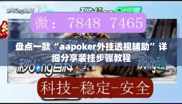 盘点一款“aapoker外挂透视辅助”详细分享装挂步骤教程