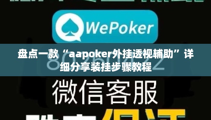 盘点一款“aapoker外挂透视辅助”详细分享装挂步骤教程