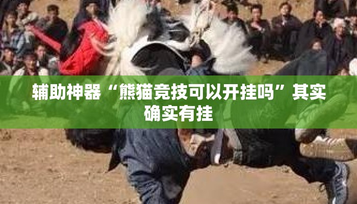 辅助神器“熊猫竞技可以开挂吗	”其实确实有挂