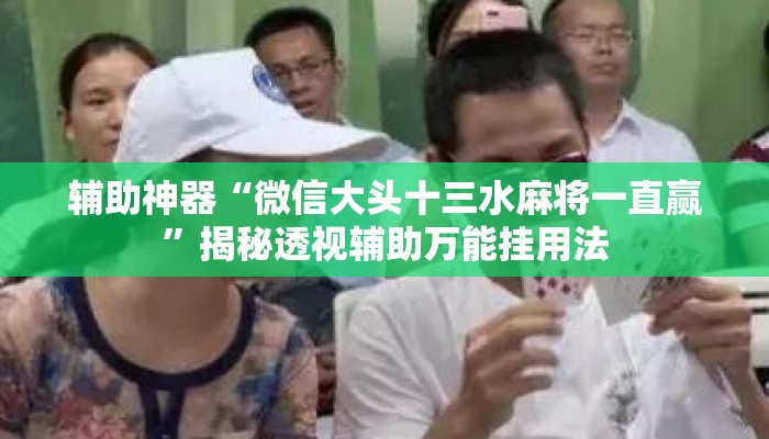 辅助神器“微信大头十三水麻将一直赢”揭秘透视辅助万能挂用法