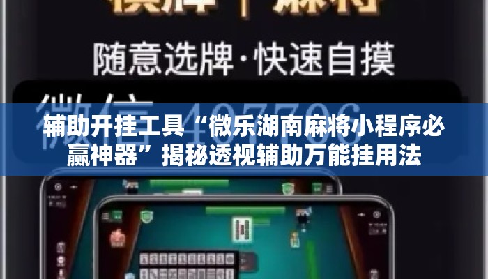 辅助开挂工具“微乐湖南麻将小程序必赢神器”揭秘透视辅助万能挂用法