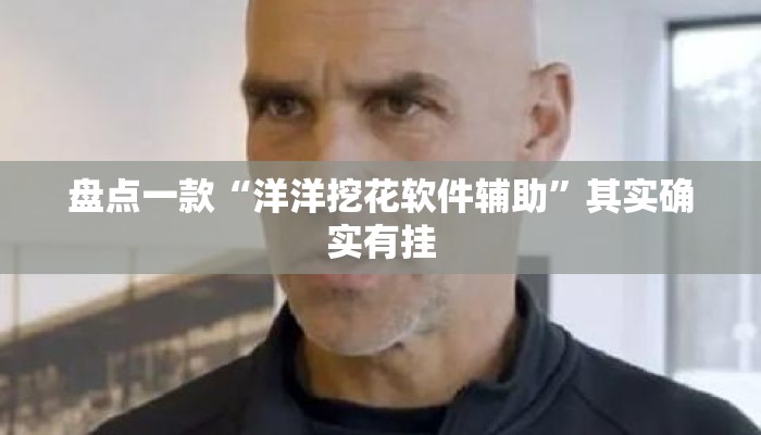盘点一款“洋洋挖花软件辅助”其实确实有挂