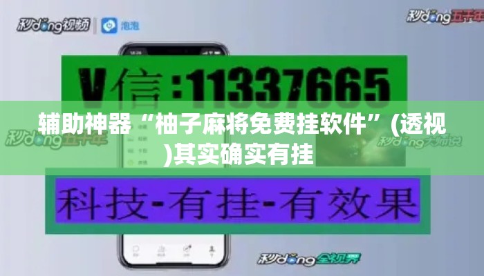 辅助神器“柚子麻将免费挂软件”(透视)其实确实有挂 