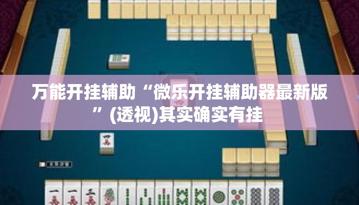 万能开挂辅助“微乐开挂辅助器最新版”(透视)其实确实有挂 