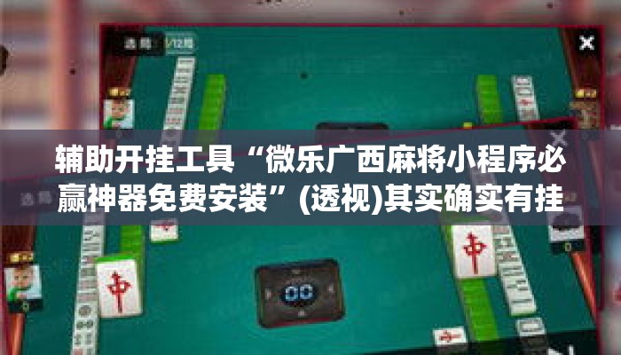 辅助开挂工具“微乐广西麻将小程序必赢神器免费安装”(透视)其实确实有挂 